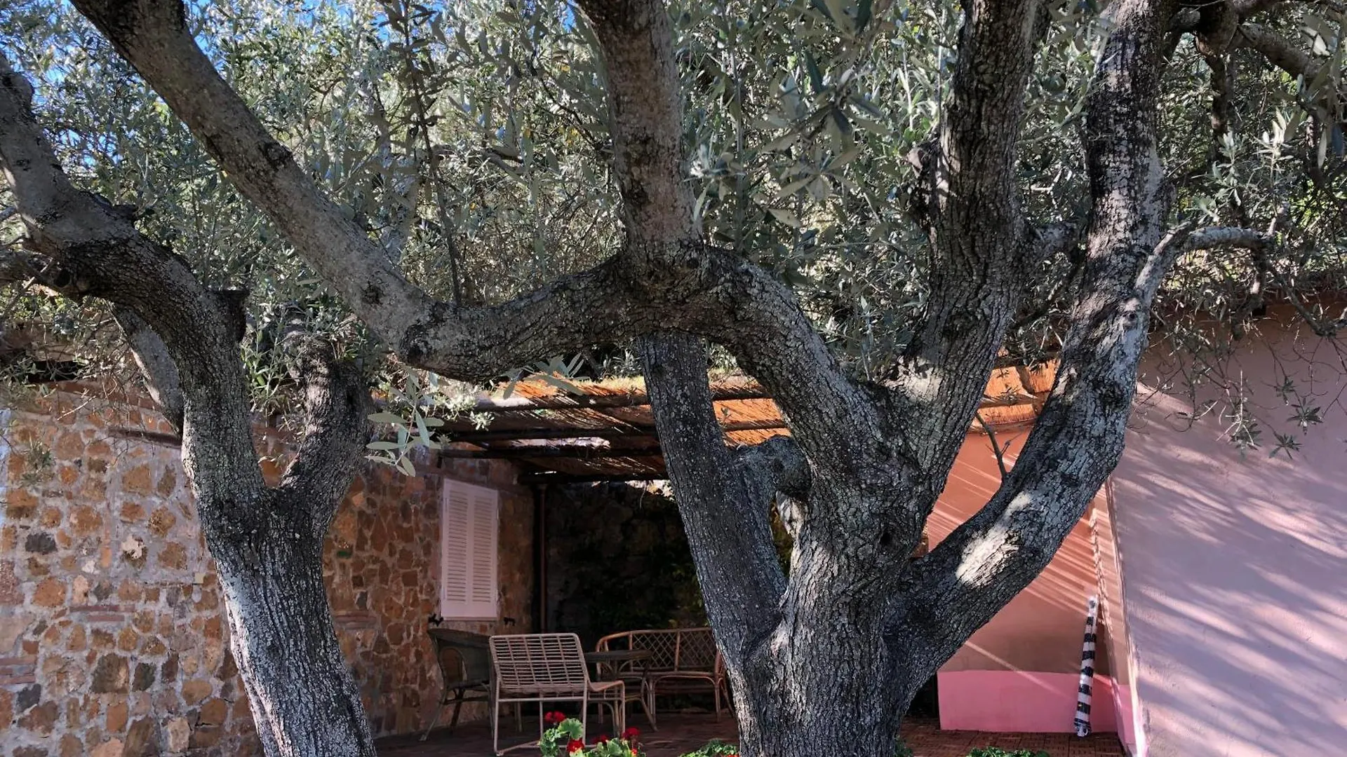 Semesterbostad Splendid Cottage On Tuscan Sea Porto Santo Stefano